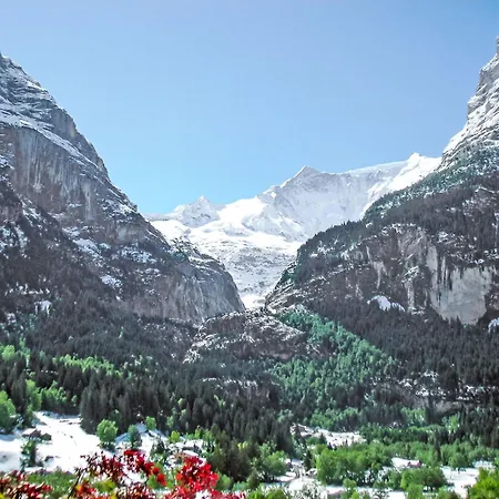 Steinbilla By Interhome Apartmán Grindelwald