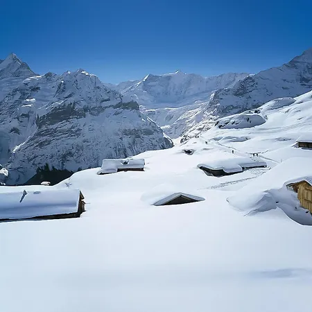 Steinbilla By Interhome Apartmán Grindelwald