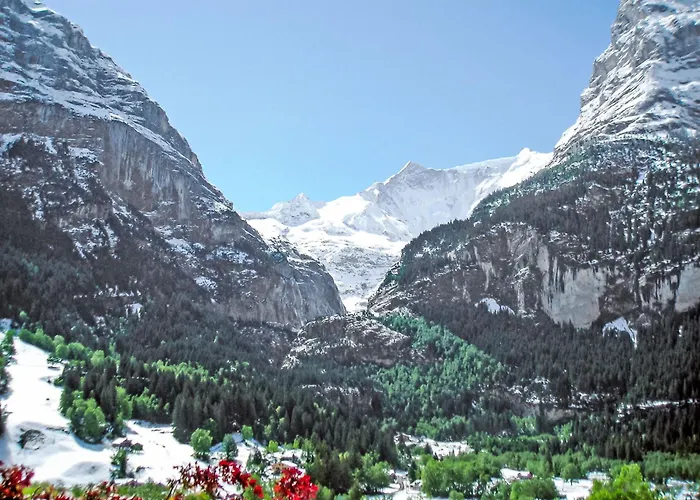 Steinbilla By Interhome Lägenhet Grindelwald