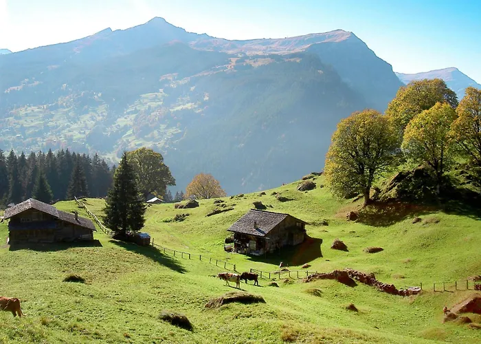 Lägenhet Steinbilla By Interhome *