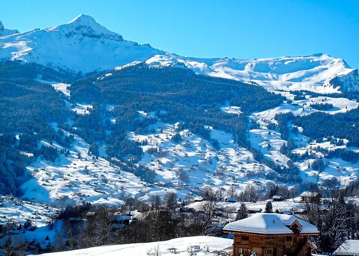 Steinbilla By Interhome Lägenhet Grindelwald